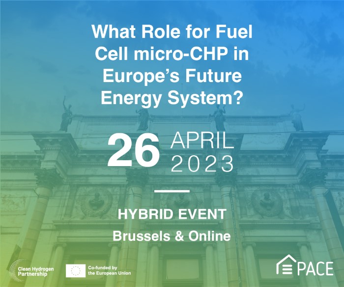 What Role for Fuel Cell micro-CHP in Europe’s Future Energy System?