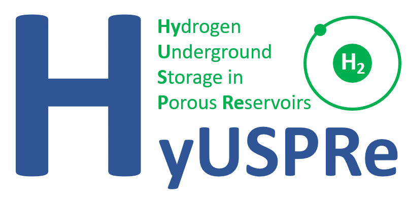 HyUsPRe logo